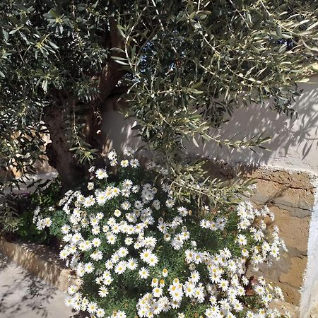 Vila Casa Le Gebbie Marzamemi Exteriér fotografie