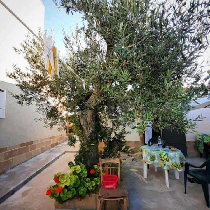 Vila Casa Le Gebbie Marzamemi Exteriér fotografie