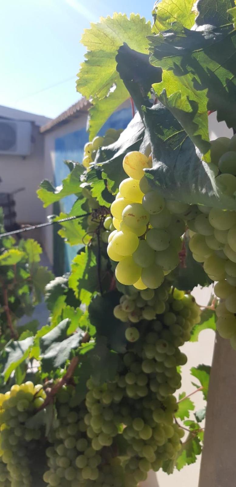 Vila Casa Le Gebbie Marzamemi Exteriér fotografie