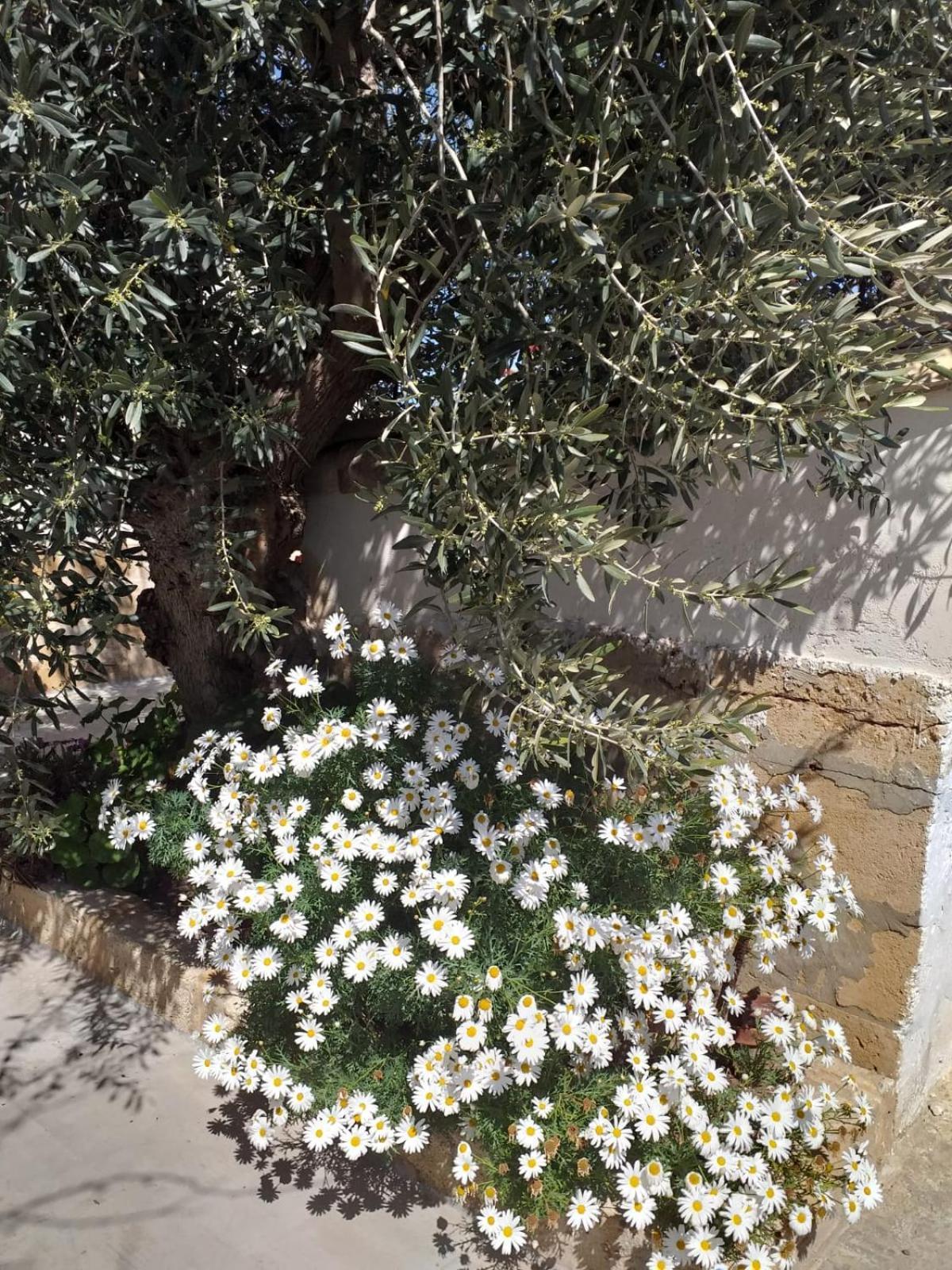 Vila Casa Le Gebbie Marzamemi Exteriér fotografie