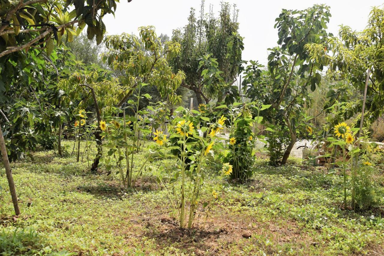 Vila Casa Le Gebbie Marzamemi Exteriér fotografie